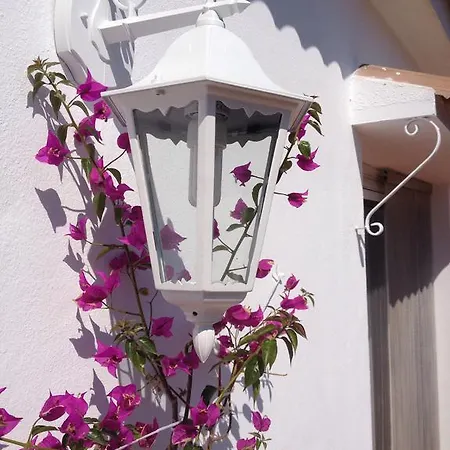 Casa Milvan * Cómpeta